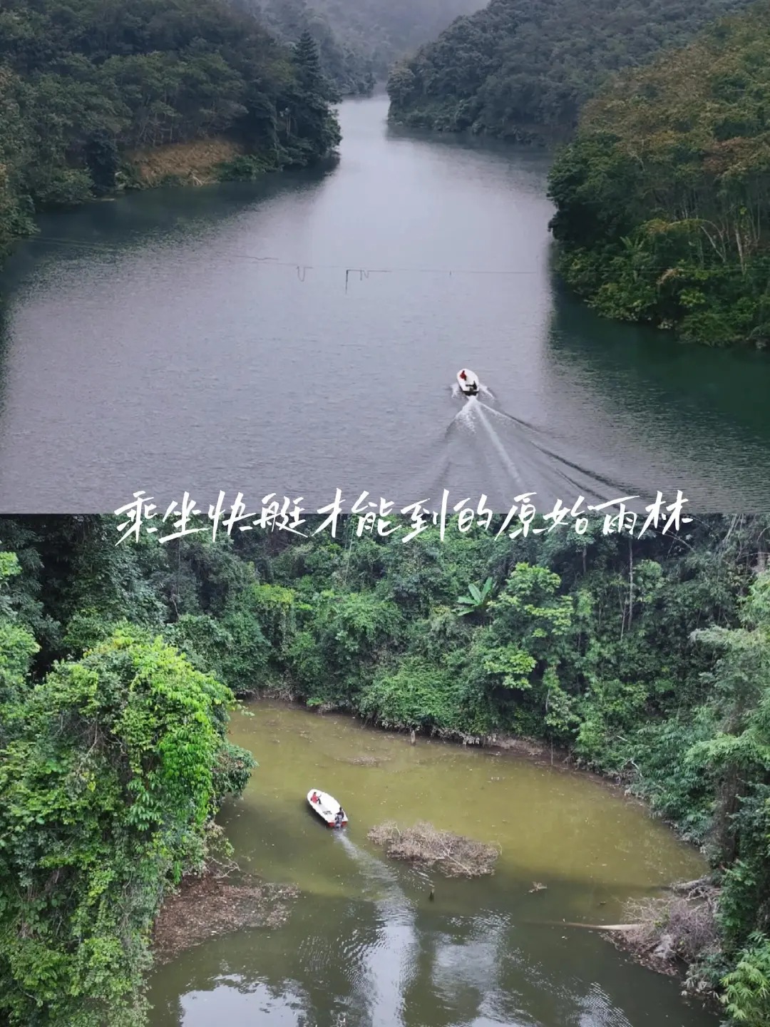 坐快艇才能进的原始雨林！限流100人_2_去野雨林徒步 阿木_西双版纳-森林-来自52tours 我爱旅游网